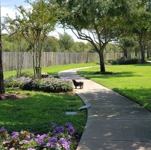 Meet your Posher, Devon